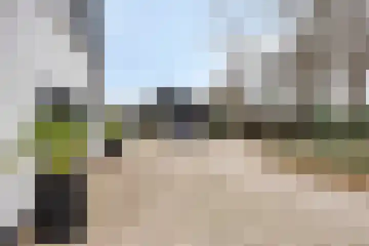 Ruwinkelseweg 1 Scherpenzeel thumbnail 48