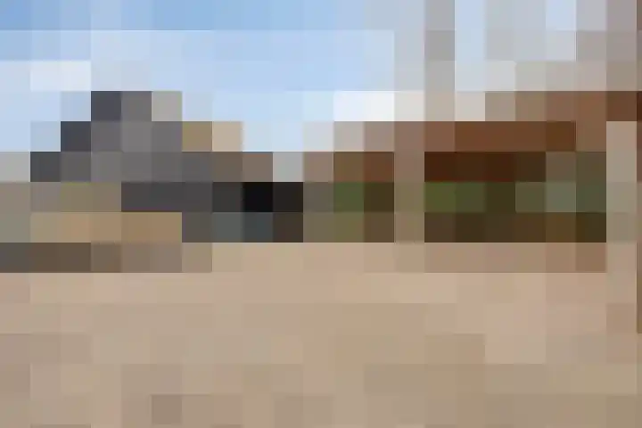 Ruwinkelseweg 1 Scherpenzeel thumbnail 49