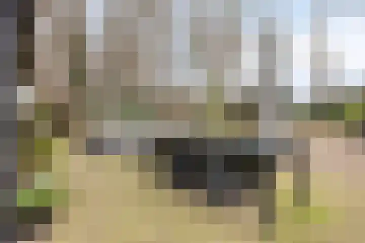 Ruwinkelseweg 1 Scherpenzeel thumbnail 50