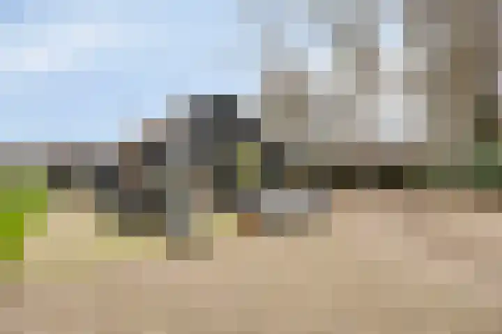 Ruwinkelseweg 1 Scherpenzeel thumbnail 52