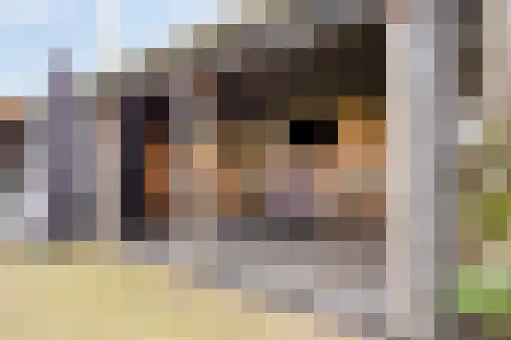 Ruwinkelseweg 1 Scherpenzeel thumbnail 53