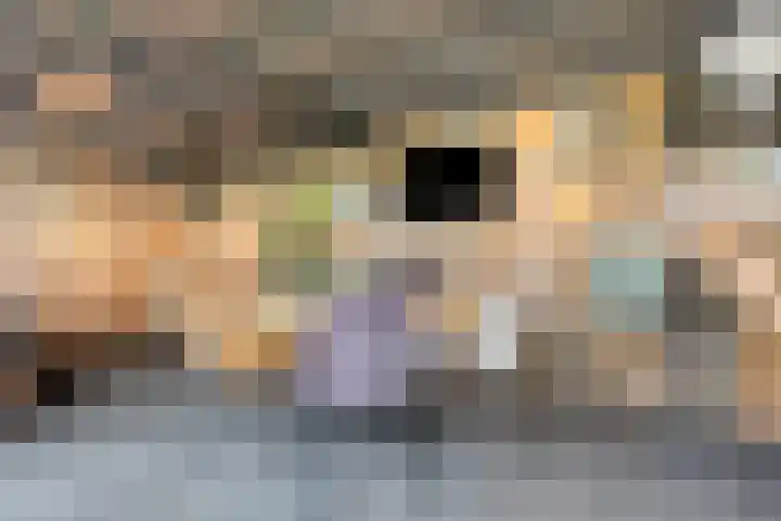 Ruwinkelseweg 1 Scherpenzeel thumbnail 54