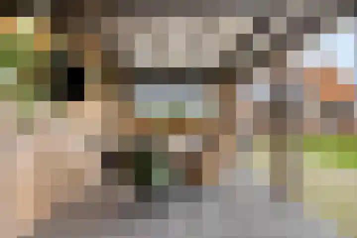 Ruwinkelseweg 1 Scherpenzeel thumbnail 56