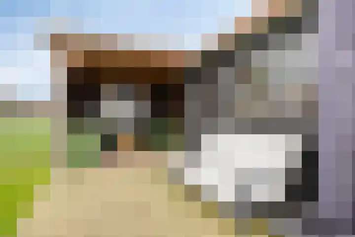 Ruwinkelseweg 1 Scherpenzeel thumbnail 57
