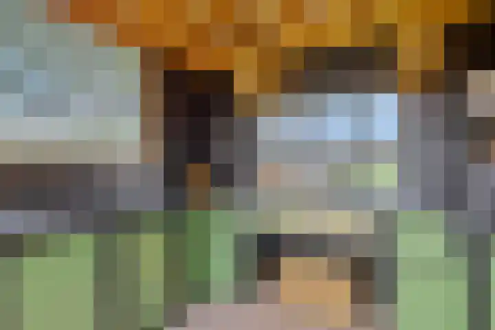 Ruwinkelseweg 1 Scherpenzeel thumbnail 59