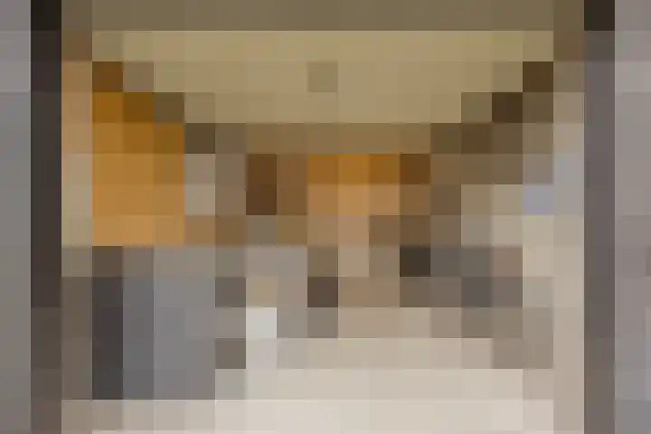 Ruwinkelseweg 1 Scherpenzeel thumbnail 61