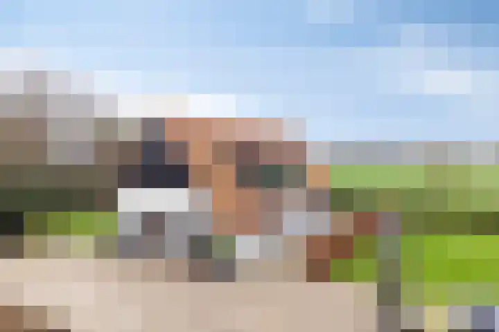 Ruwinkelseweg 1 Scherpenzeel thumbnail 64