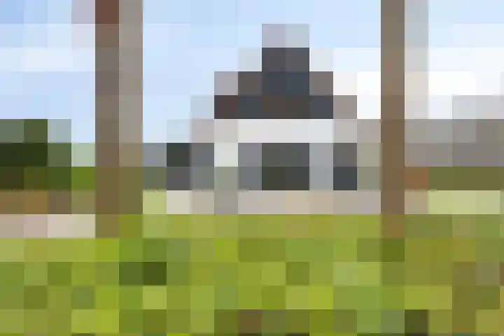 Ruwinkelseweg 1 Scherpenzeel thumbnail 67