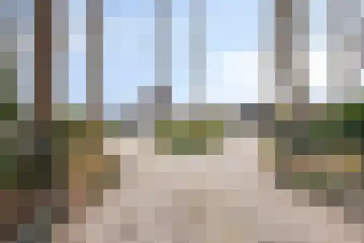 Ruwinkelseweg 1 Scherpenzeel thumbnail 68