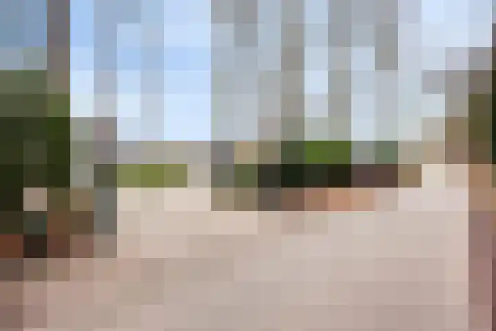 Ruwinkelseweg 1 Scherpenzeel thumbnail 69