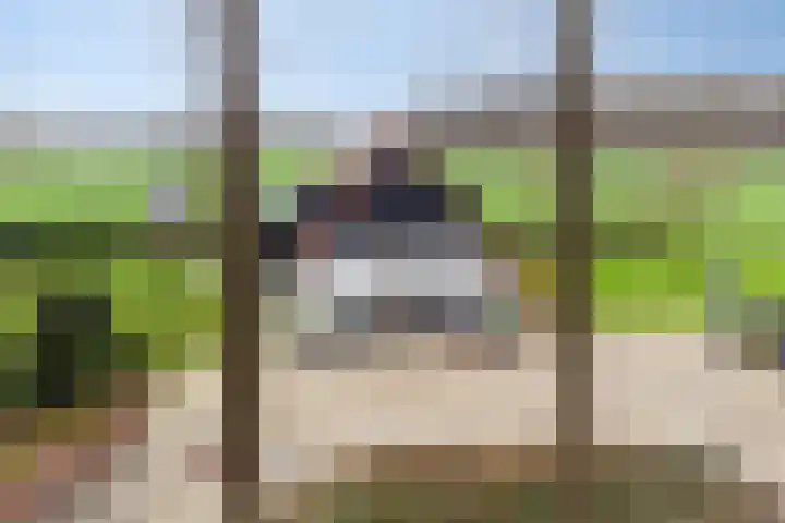 Ruwinkelseweg 1 Scherpenzeel thumbnail 70