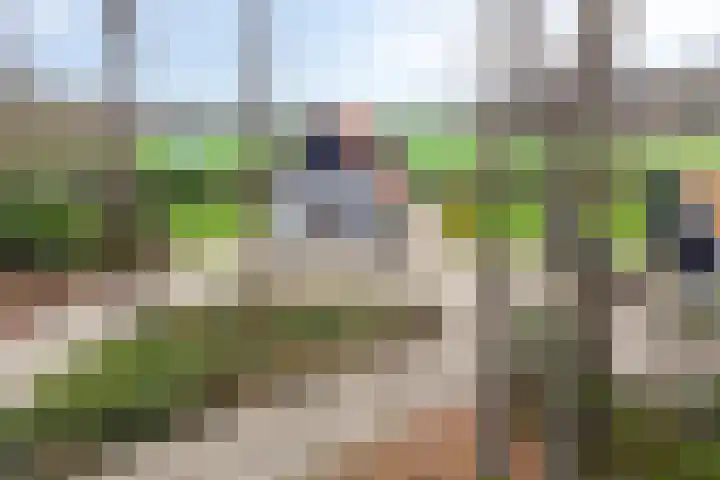 Ruwinkelseweg 1 Scherpenzeel thumbnail 71