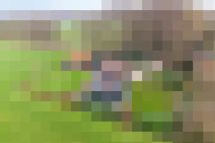 Ruwinkelseweg 1 Scherpenzeel thumbnail 73