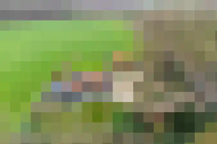 Ruwinkelseweg 1 Scherpenzeel thumbnail 74