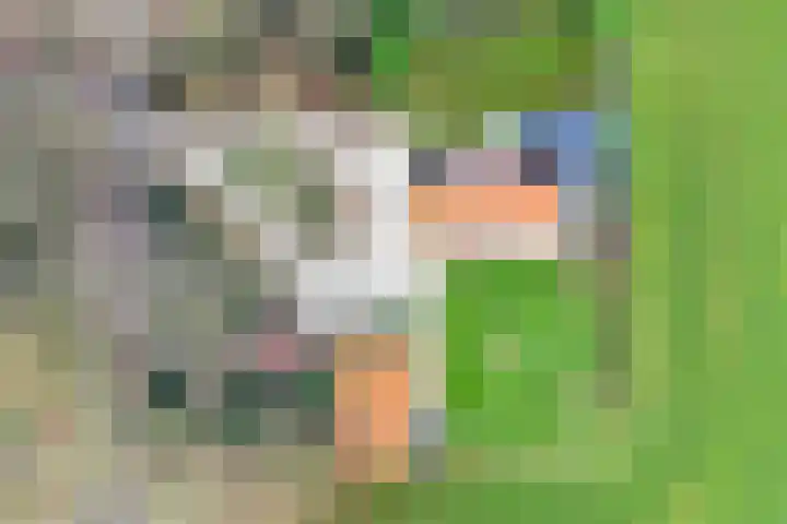 Ruwinkelseweg 1 Scherpenzeel thumbnail 75