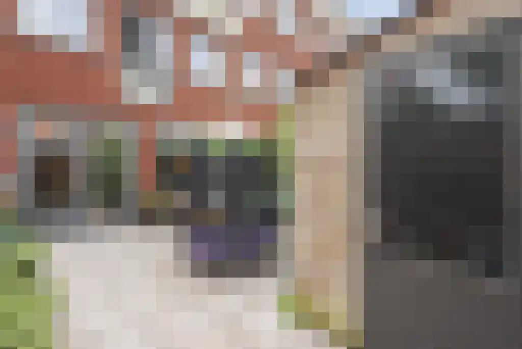 Ruychaverstraat 24 Haarlem thumbnail 17