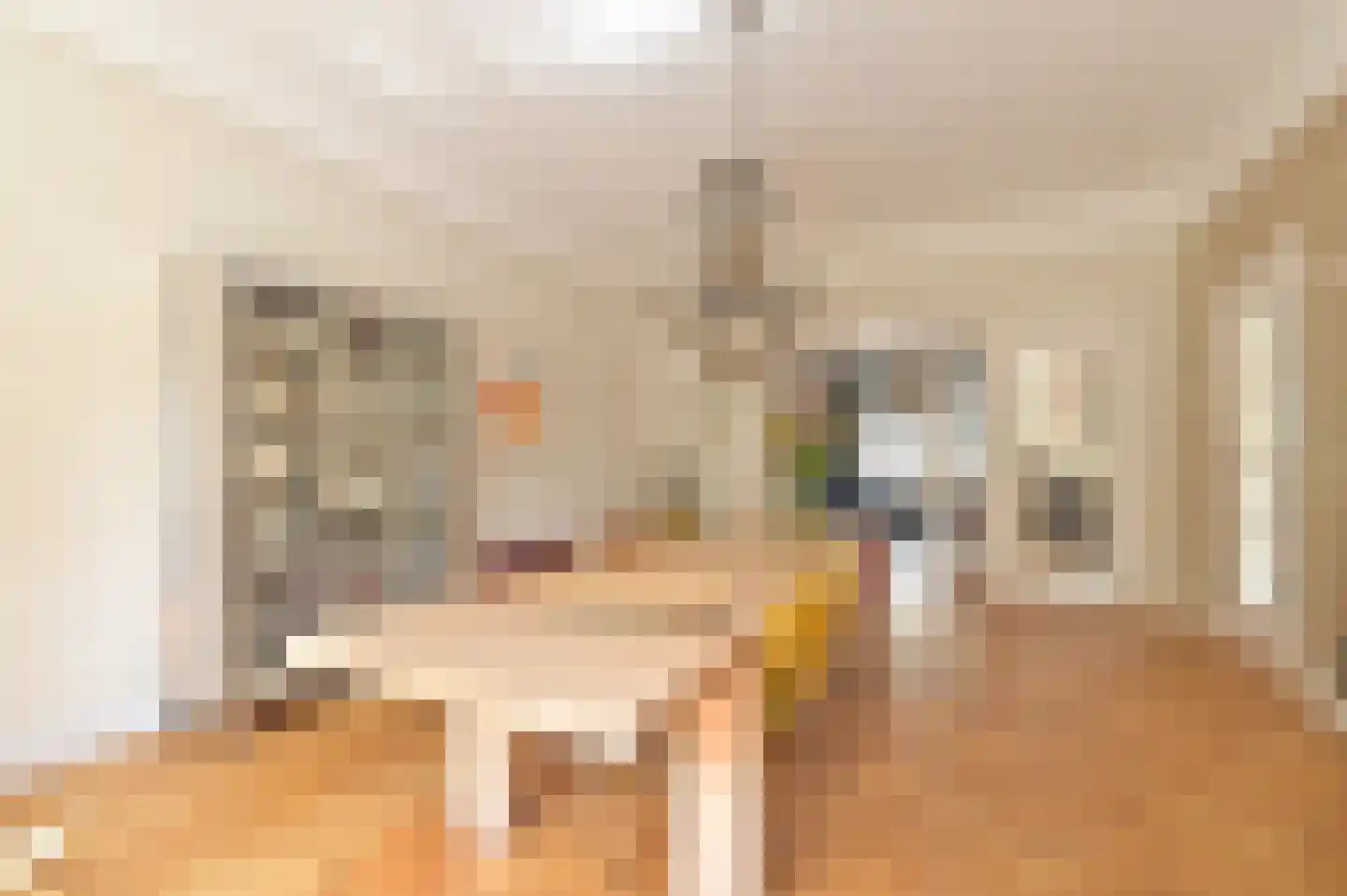 Ruychrocklaan 124 Den Haag thumbnail 13