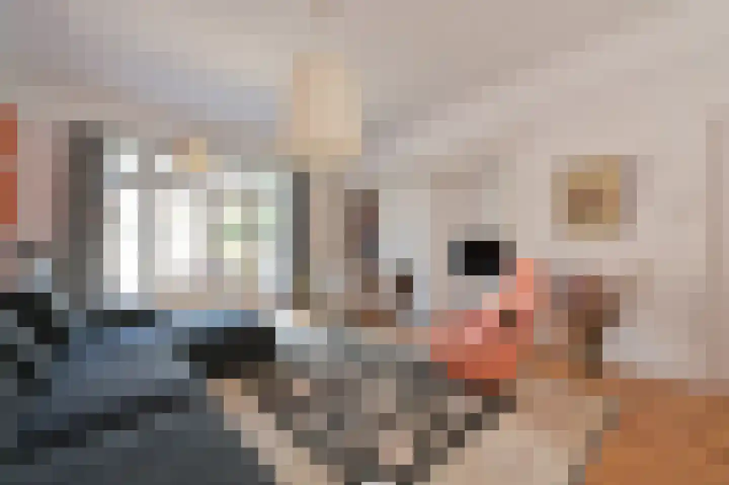 Ruychrocklaan 124 Den Haag thumbnail 15