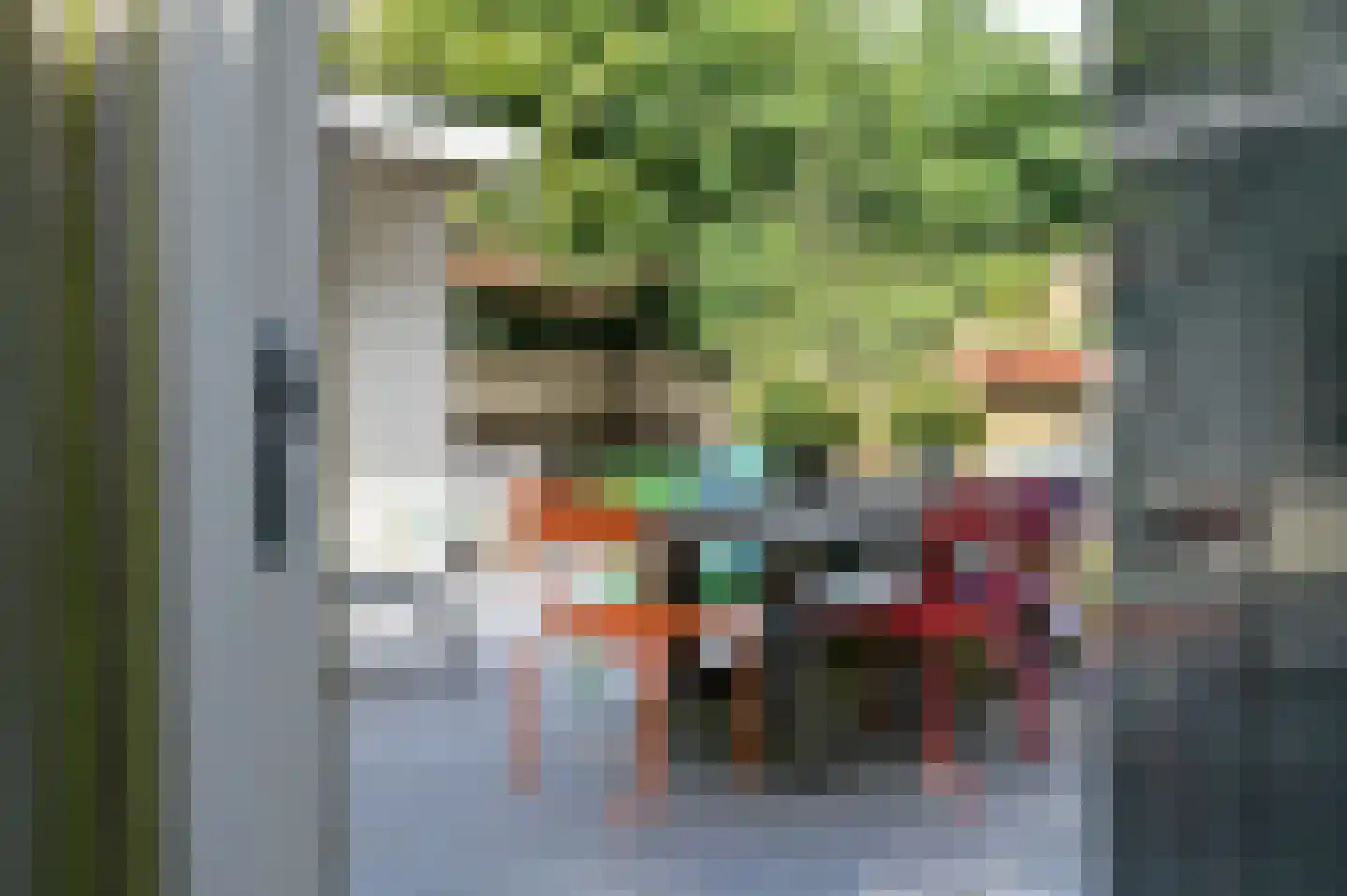 Ruychrocklaan 124 Den Haag thumbnail 18