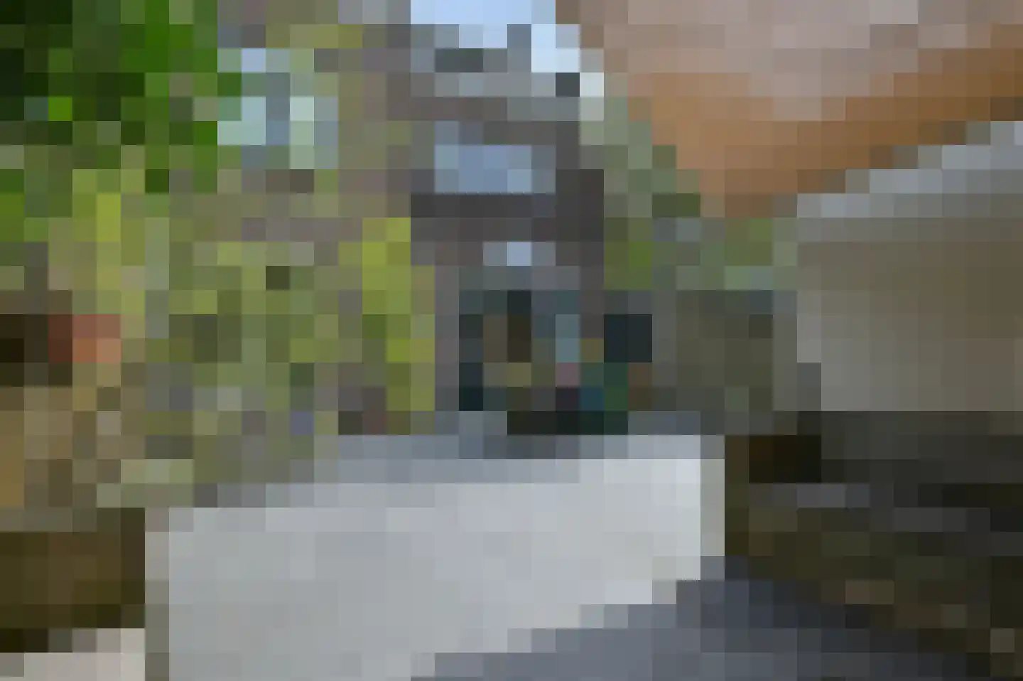 Ruychrocklaan 124 Den Haag thumbnail 22