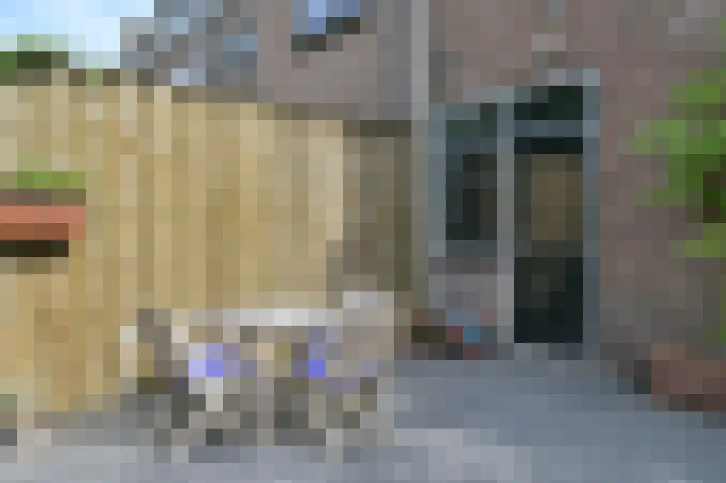 Ruychrocklaan 124 Den Haag thumbnail 24