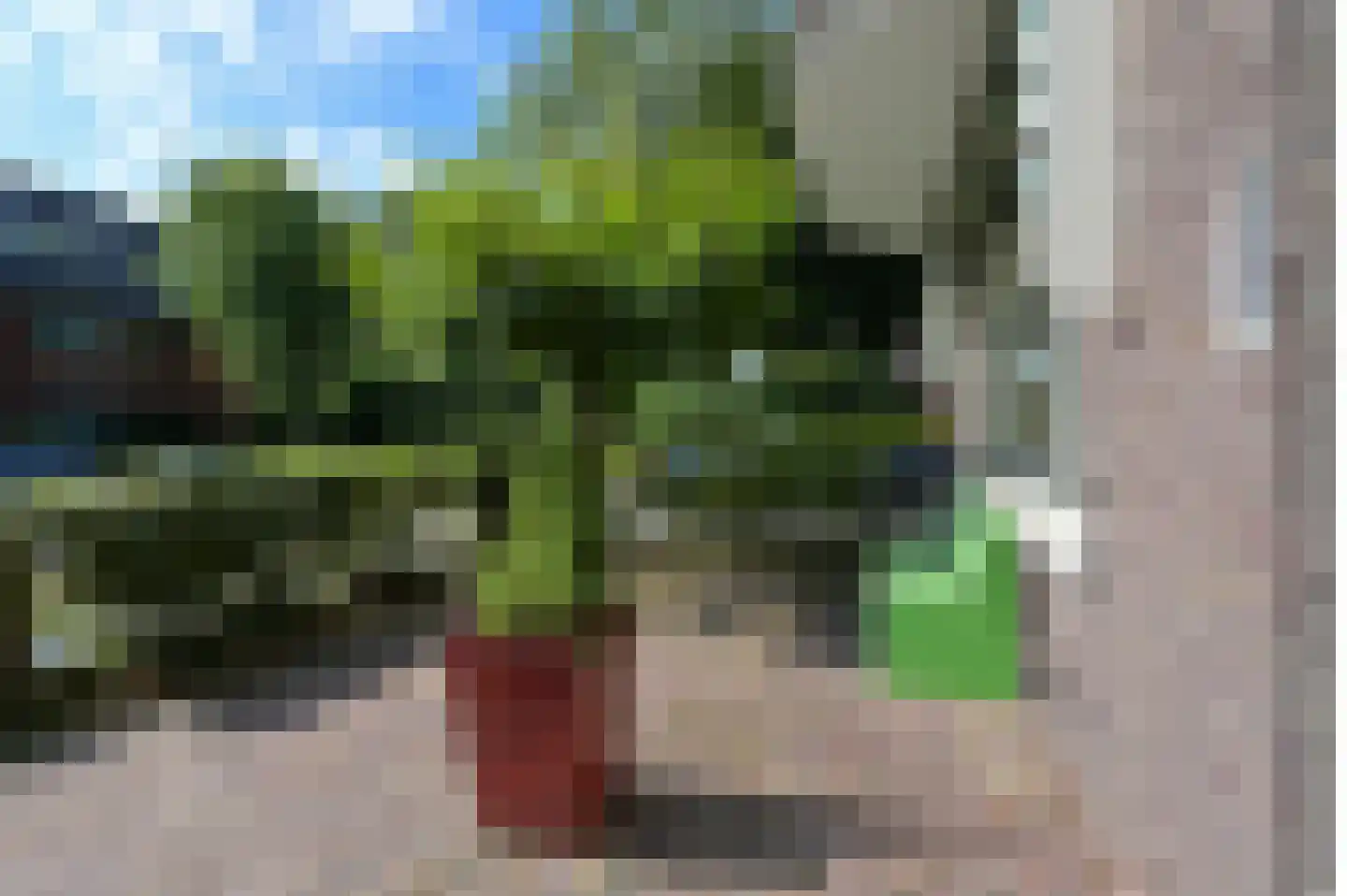 Ruychrocklaan 124 Den Haag thumbnail 53