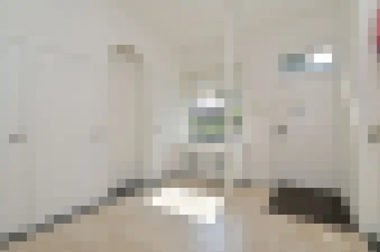 Ruychrocklaan 124 Den Haag thumbnail 6