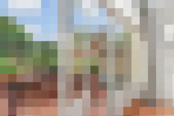 Ruychrocklaan 129 Den Haag thumbnail 13