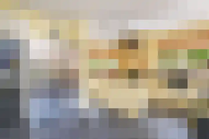 Ruychrocklaan 129 Den Haag thumbnail 16
