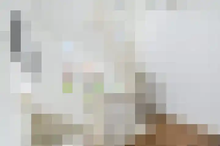 Ruychrocklaan 129 Den Haag thumbnail 21