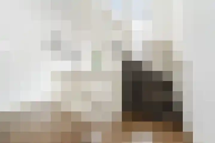 Ruychrocklaan 129 Den Haag thumbnail 22