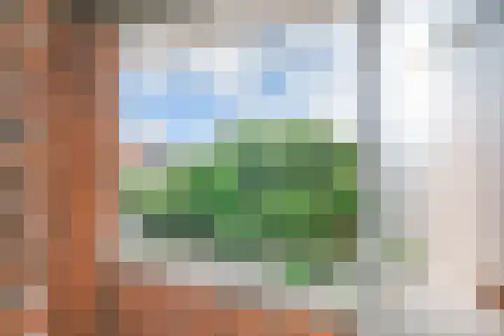 Ruychrocklaan 129 Den Haag thumbnail 33