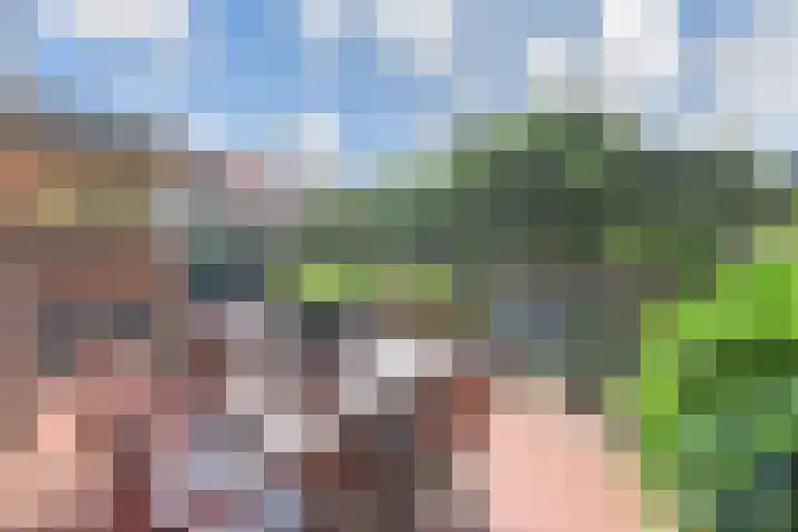 Ruychrocklaan 129 Den Haag thumbnail 42