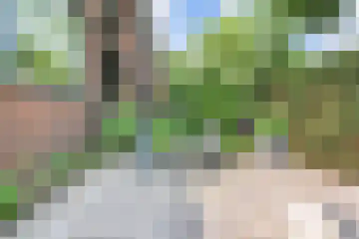 Ruychrocklaan 129 Den Haag thumbnail 47