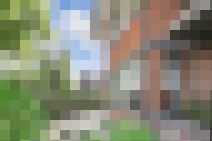 Ruychrocklaan 129 Den Haag thumbnail 48