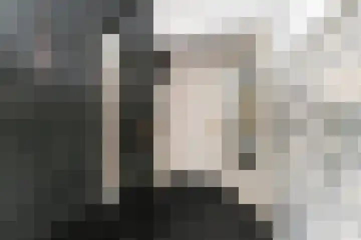 Ruychrocklaan 129 Den Haag thumbnail 5