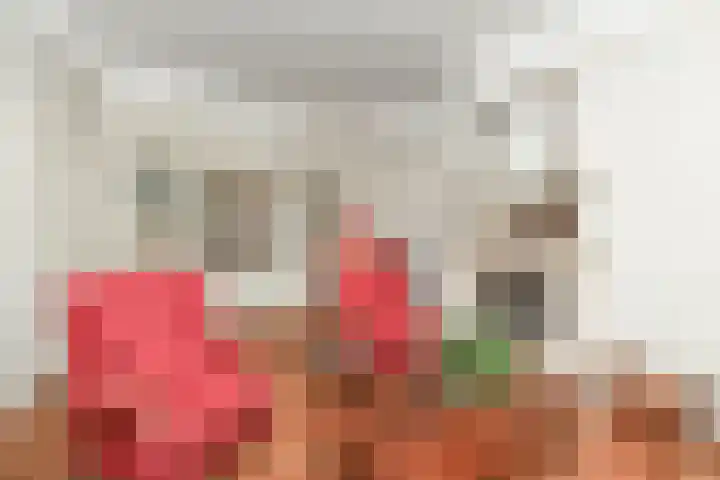 Ruychrocklaan 129 Den Haag thumbnail 9