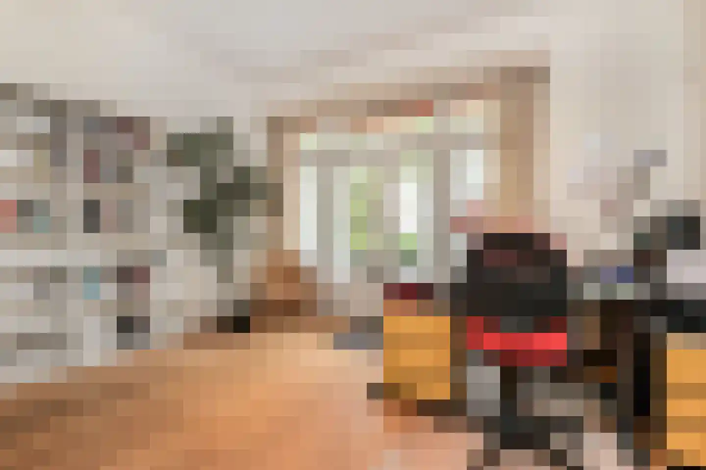 Ruychrocklaan 134 Den Haag thumbnail 28