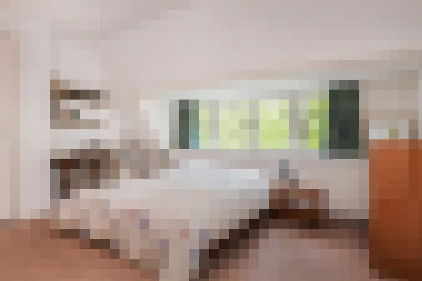 Ruychrocklaan 134 Den Haag thumbnail 35