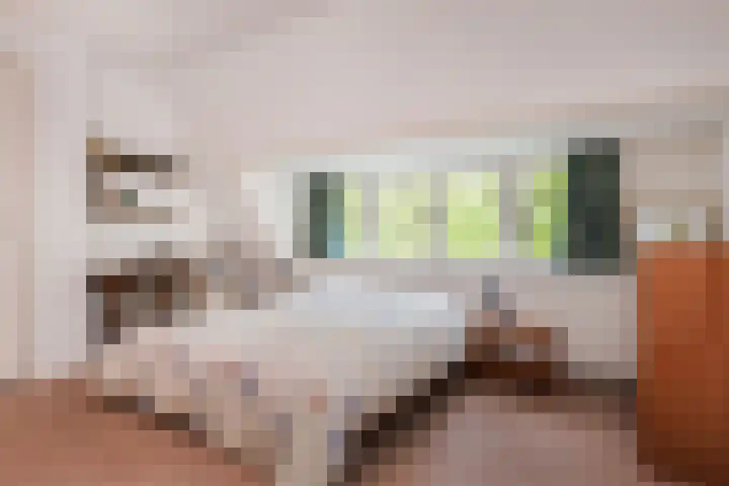 Ruychrocklaan 134 Den Haag thumbnail 35