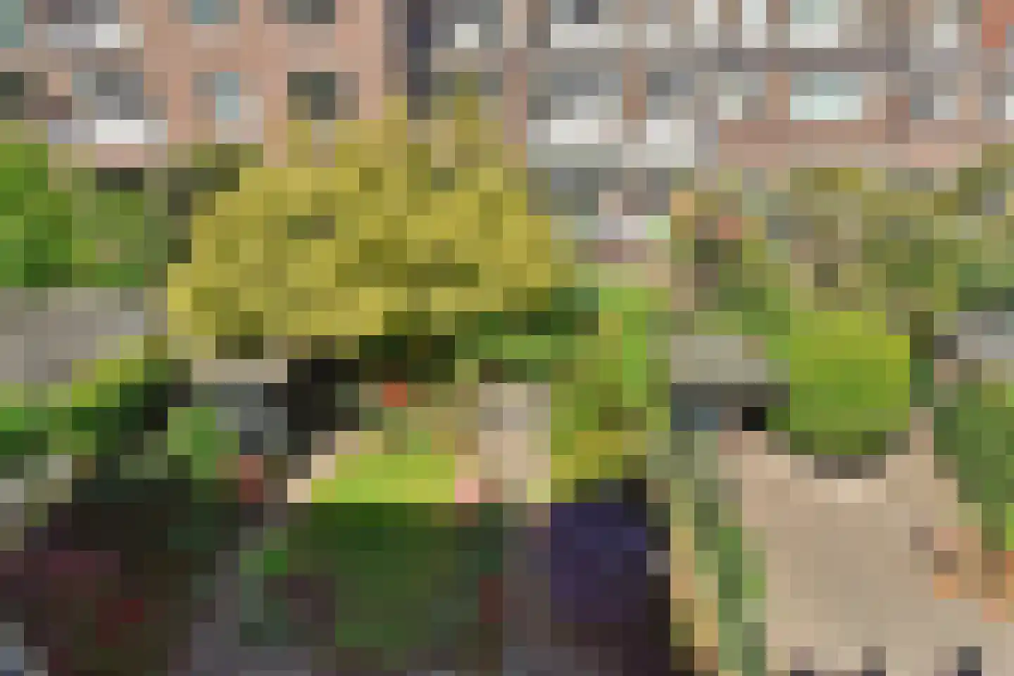 Ruychrocklaan 134 Den Haag thumbnail 38