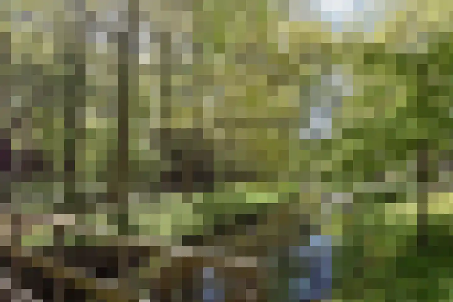 Ruychrocklaan 134 Den Haag thumbnail 43