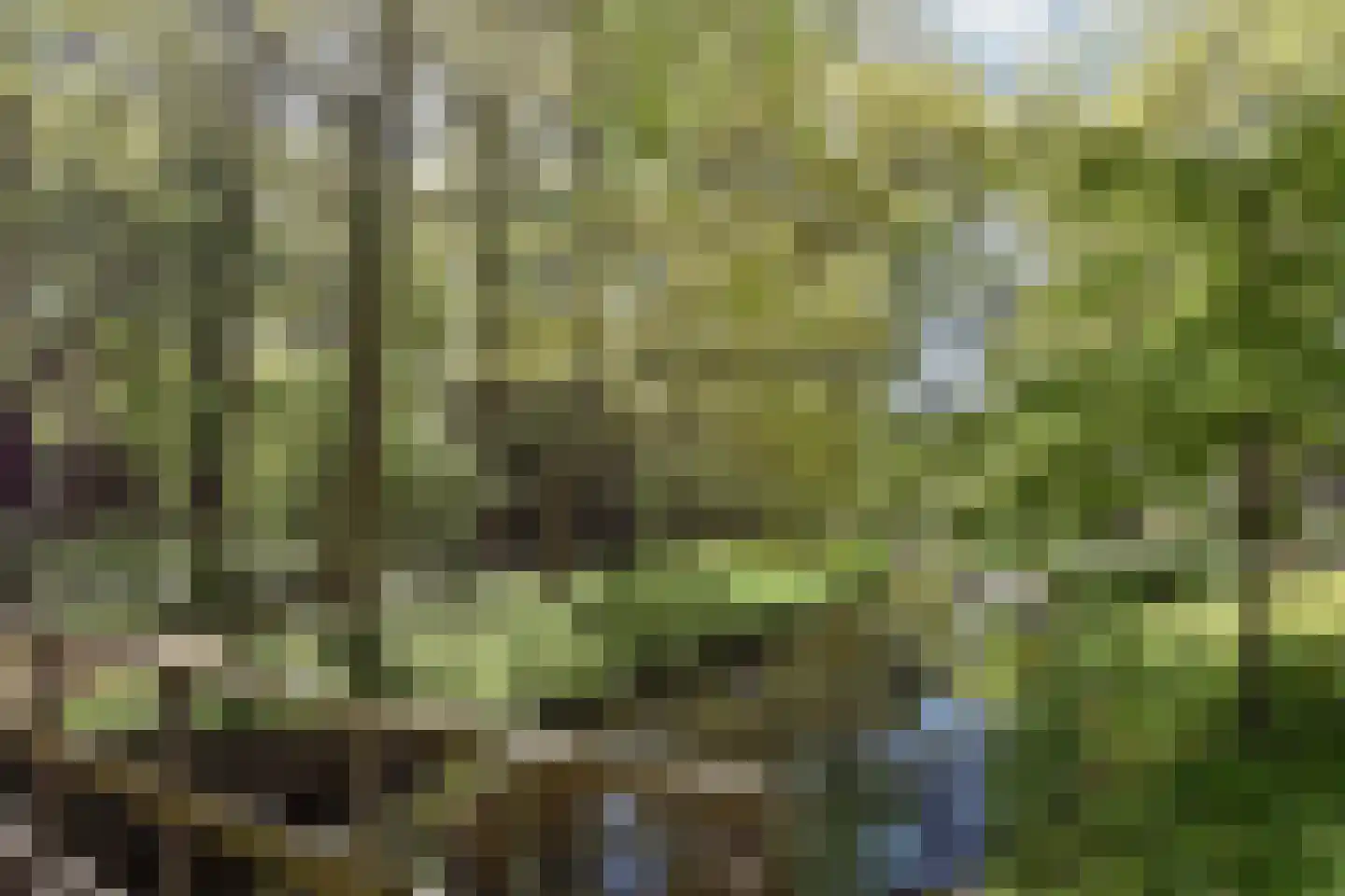 Ruychrocklaan 134 Den Haag thumbnail 43
