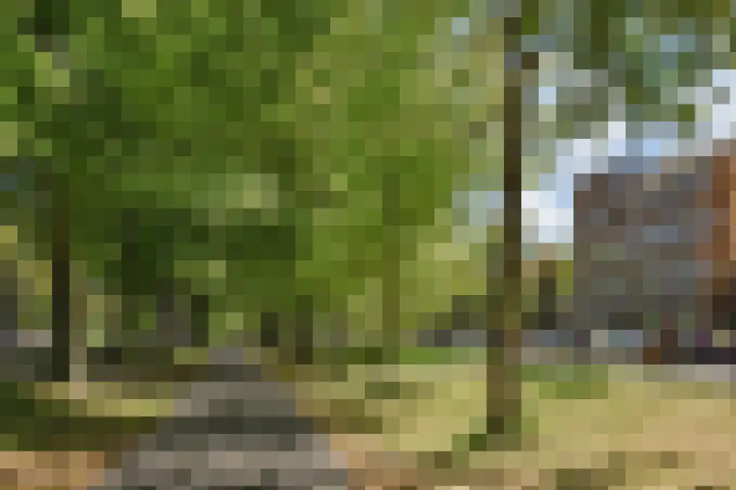 Ruychrocklaan 134 Den Haag thumbnail 44