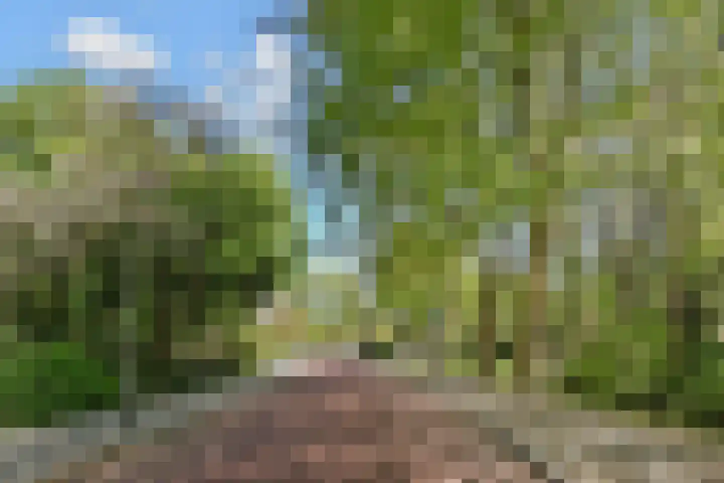 Ruychrocklaan 134 Den Haag thumbnail 46