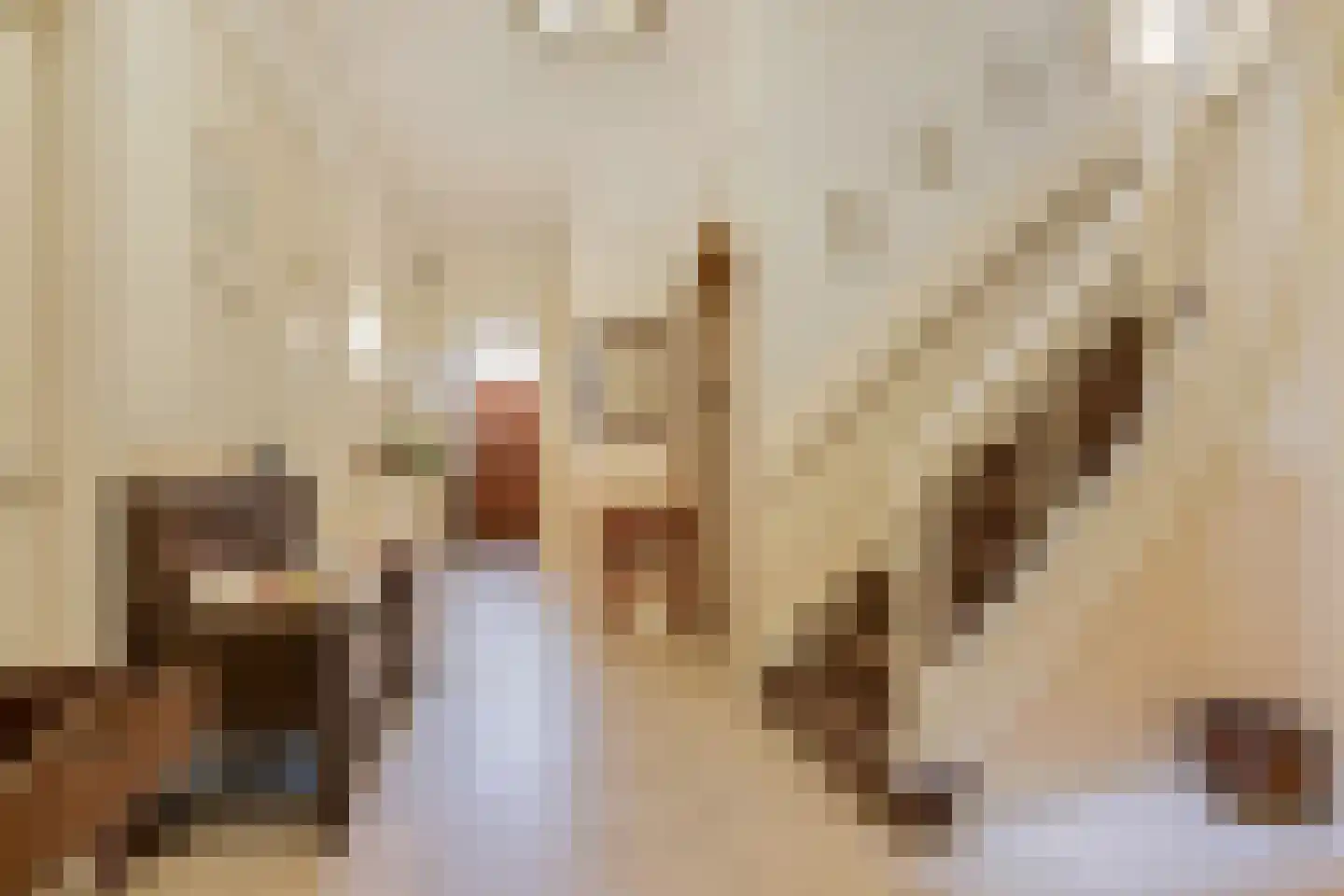 Ruychrocklaan 134 Den Haag thumbnail 8