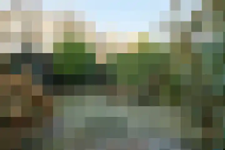 Ruychrocklaan 136 Den Haag thumbnail 11