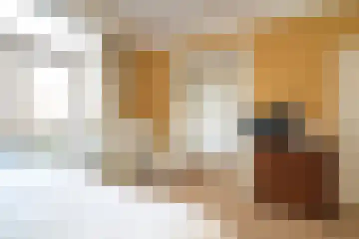 Ruychrocklaan 136 Den Haag thumbnail 18
