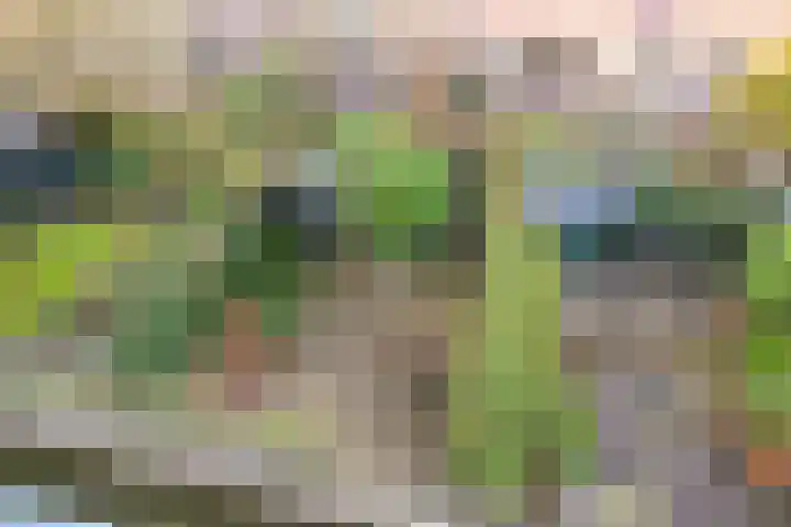 Ruychrocklaan 136 Den Haag thumbnail 27