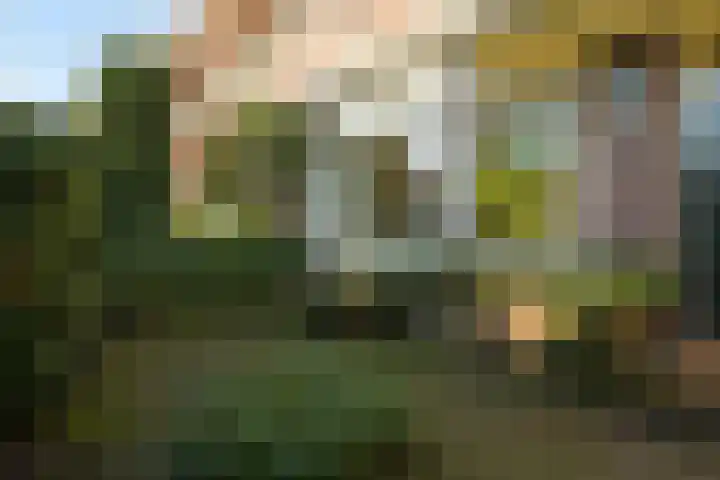 Ruychrocklaan 136 Den Haag thumbnail 6